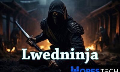 Lwedninja
