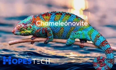 Chameleónovité